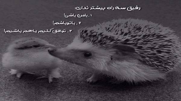  چشماتو تا دیدم انگار توش خدا دیدم ریمیکس